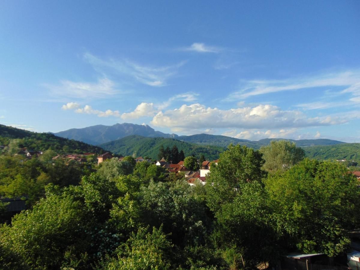 Проживание в семье Vila Alina Кэлимэнешти