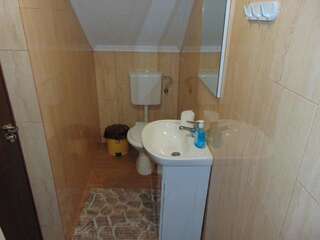 Проживание в семье Vila Alina Кэлимэнешти Двухместный номер с 1 кроватью и собственной ванной комнатой-5