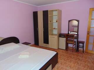 Проживание в семье Vila Alina Кэлимэнешти Двухместный номер с 1 кроватью и общей ванной комнатой-2